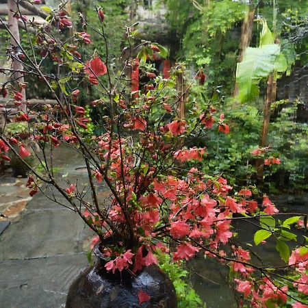 Wuyuan Qiye Yanxiang Guesthouse Экстерьер фото