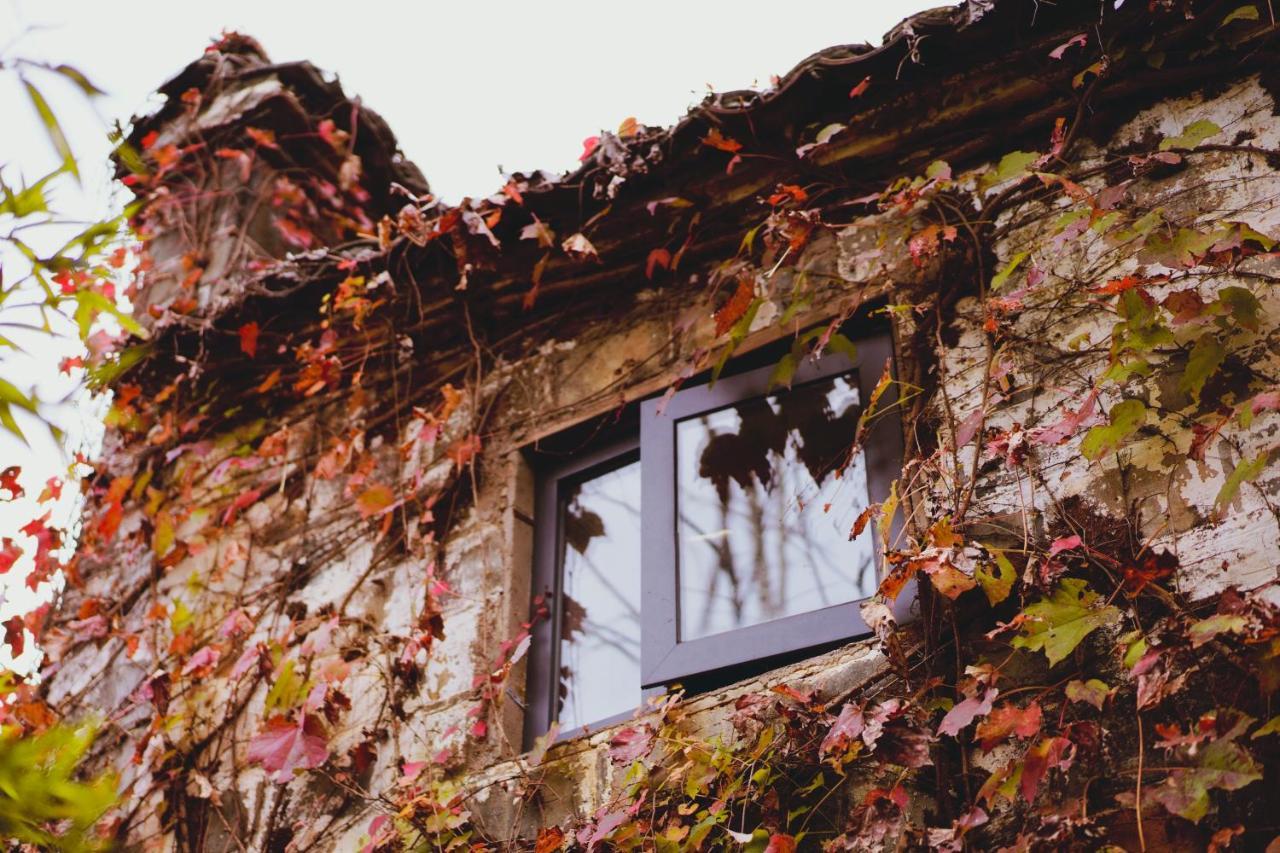 Wuyuan Qiye Yanxiang Guesthouse Экстерьер фото